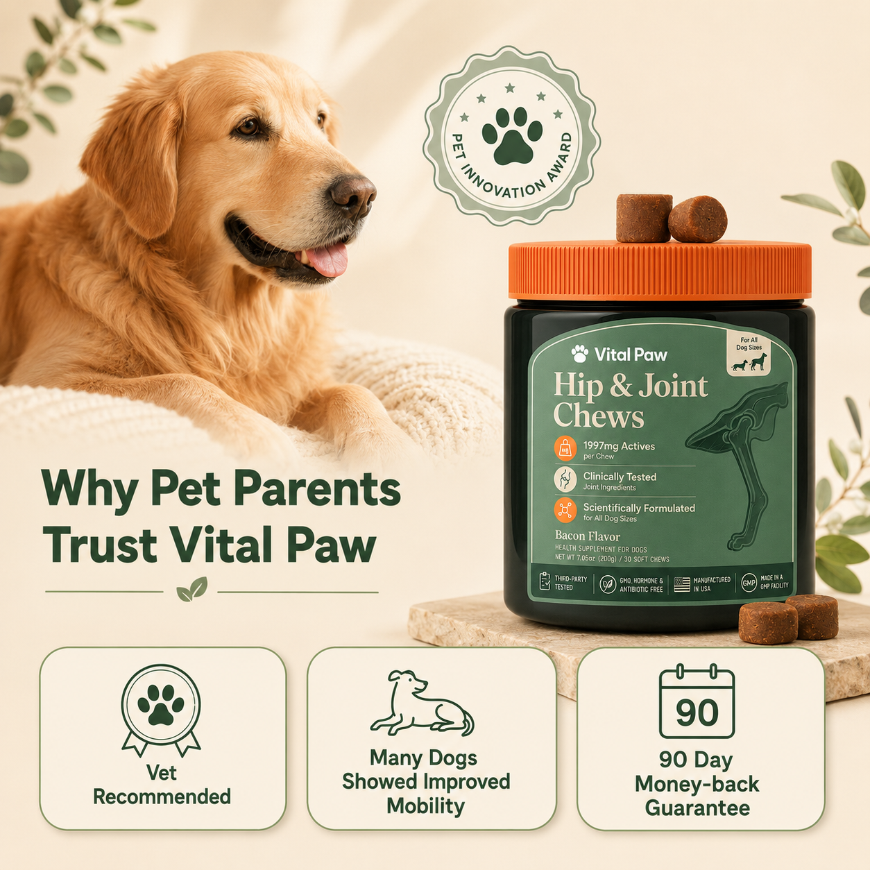 Hip & Joint Chews