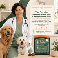 Probiotic Chews