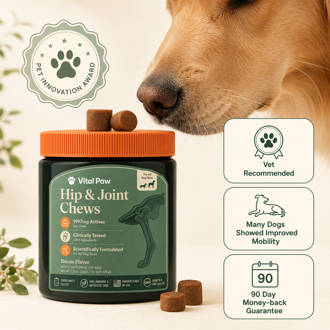 Hip & Joint Chews