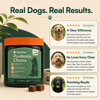 Probiotic Chews
