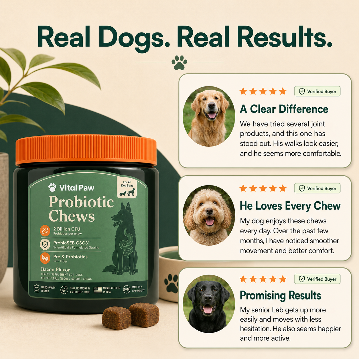 Probiotic Chews
