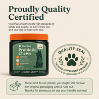 Probiotic Chews