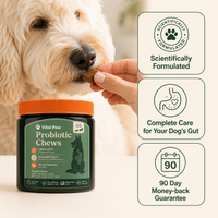 Probiotic Chews