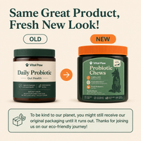Probiotic Chews